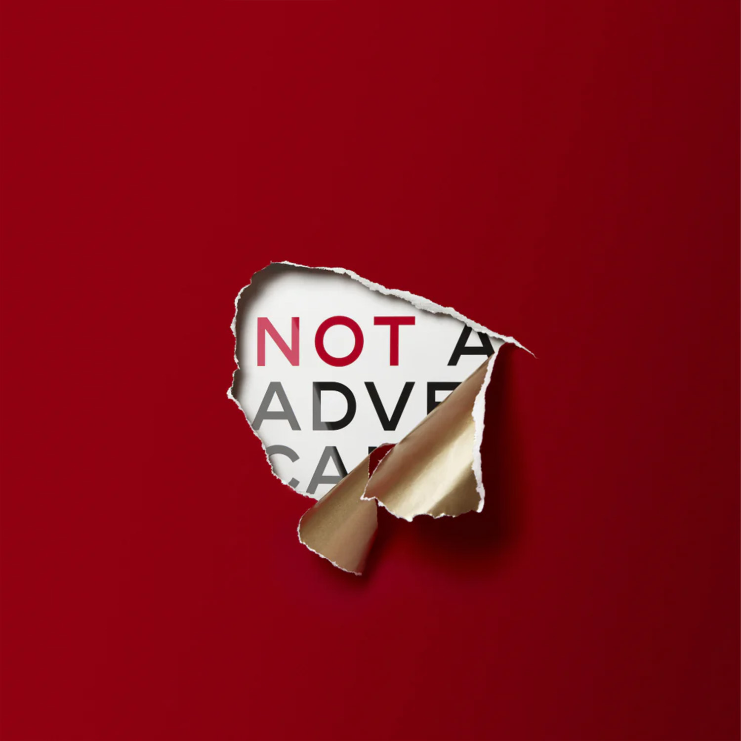 NOT AN ADVENT CALENDAR SET DE REGALO DE NAVIDAD